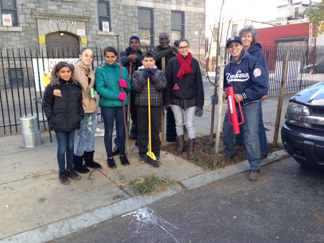 Volunteers helped us plant eight new trees