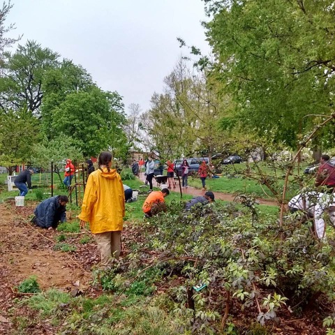 Volunteers from Fuel the Cure working in the garden