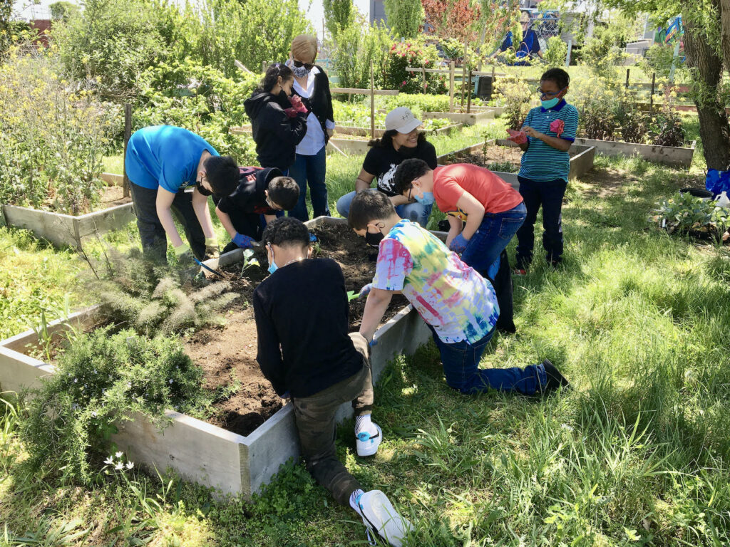 Volunteers gardening at Historic Fair Hill