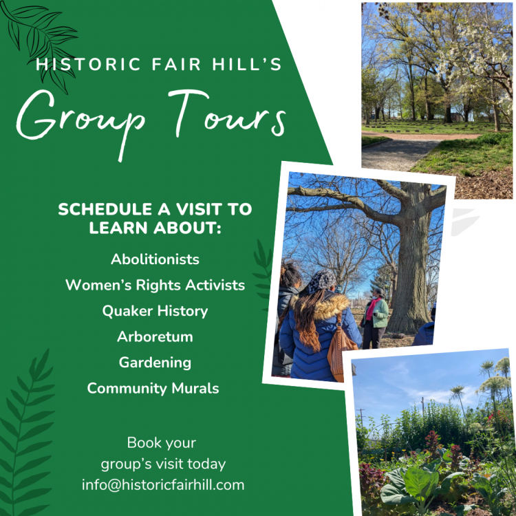Group Tours-3